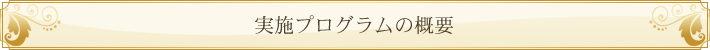 実施プログラムの概要